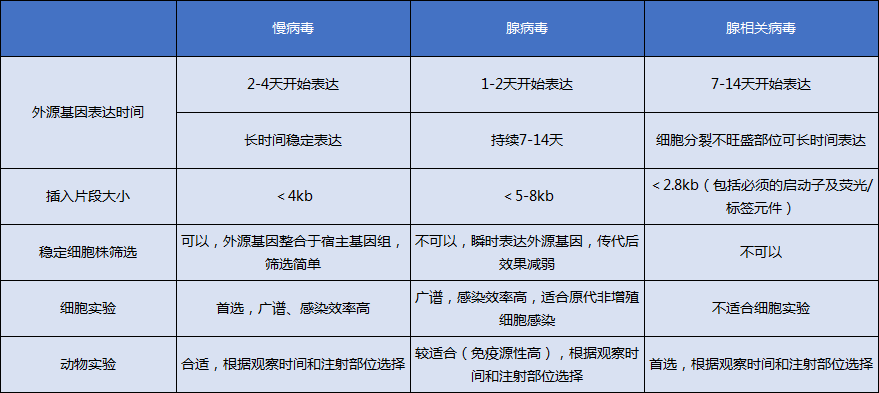 1655091033189339.png 病毒包装和转染.png