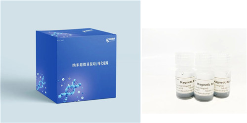 1662019511231381.jpg 威斯腾生物自主研发超微量纳米磁珠成功上市1.jpg