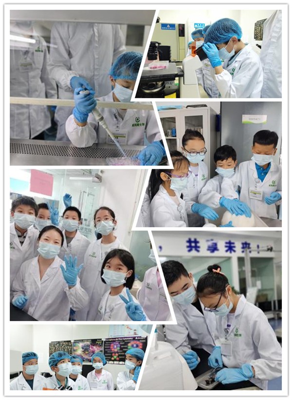 1689045890576324.jpg 探生命之光· 赴科研之约5.jpg